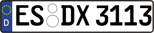 ES-DX3113
