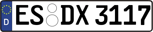 ES-DX3117