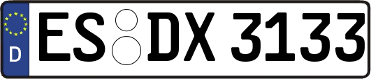 ES-DX3133