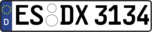 ES-DX3134