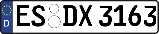 ES-DX3163