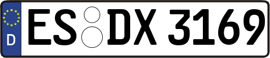 ES-DX3169