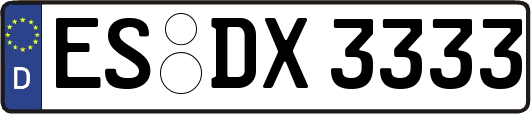 ES-DX3333