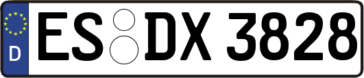 ES-DX3828