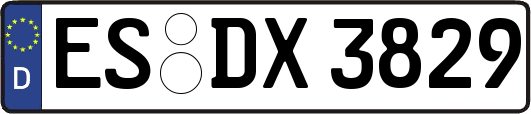 ES-DX3829
