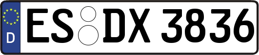 ES-DX3836