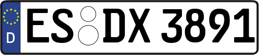 ES-DX3891
