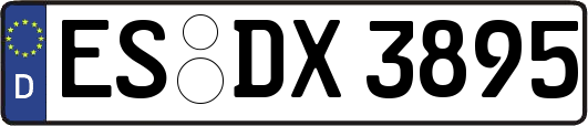 ES-DX3895