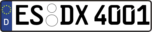 ES-DX4001