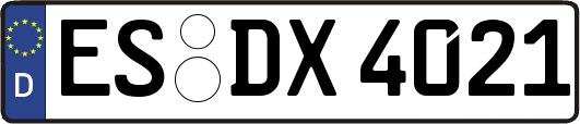 ES-DX4021