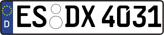 ES-DX4031