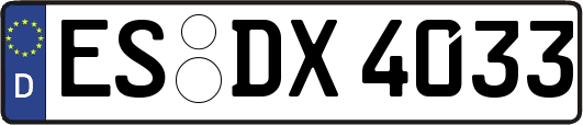 ES-DX4033