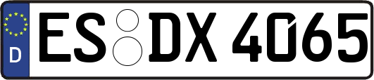ES-DX4065