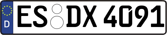 ES-DX4091