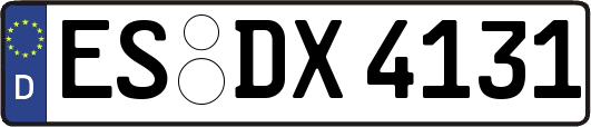 ES-DX4131