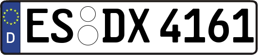 ES-DX4161