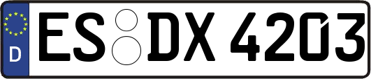 ES-DX4203