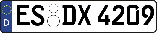 ES-DX4209