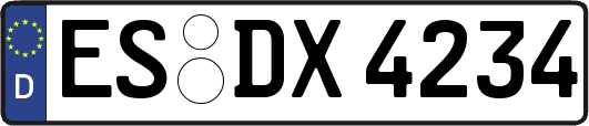ES-DX4234