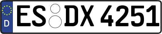 ES-DX4251