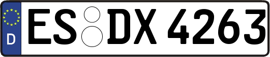 ES-DX4263