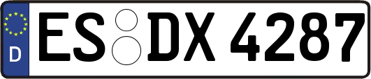 ES-DX4287
