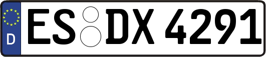 ES-DX4291
