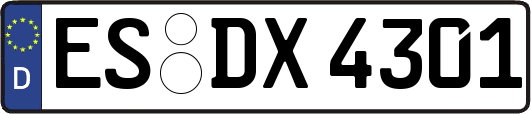 ES-DX4301