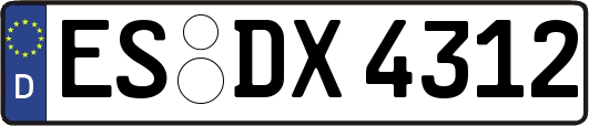 ES-DX4312