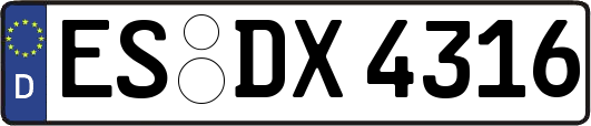 ES-DX4316