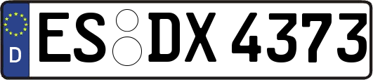 ES-DX4373