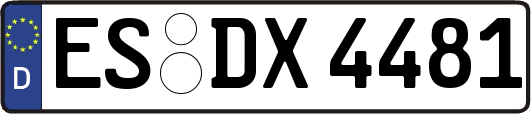 ES-DX4481
