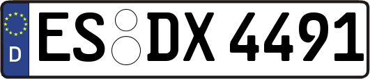 ES-DX4491