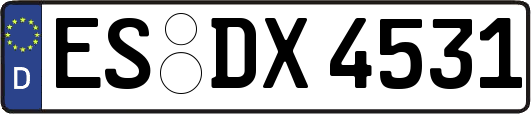 ES-DX4531