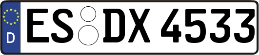 ES-DX4533