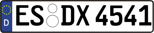 ES-DX4541