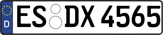 ES-DX4565