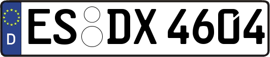 ES-DX4604
