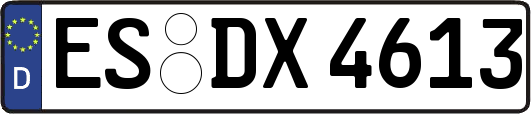 ES-DX4613