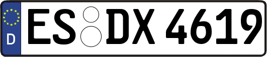 ES-DX4619