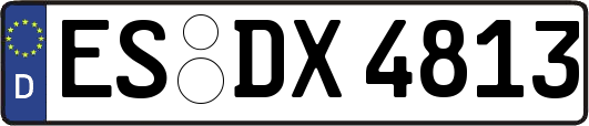 ES-DX4813