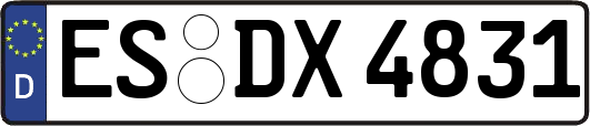 ES-DX4831