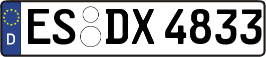 ES-DX4833