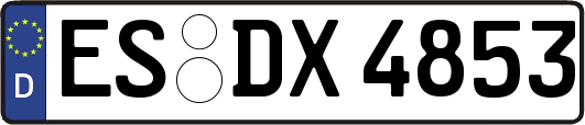 ES-DX4853