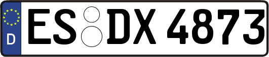 ES-DX4873