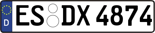 ES-DX4874