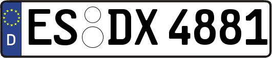 ES-DX4881