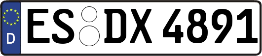 ES-DX4891