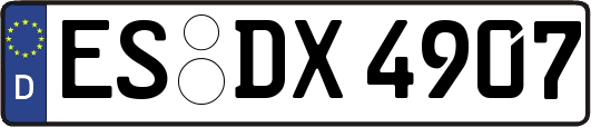 ES-DX4907