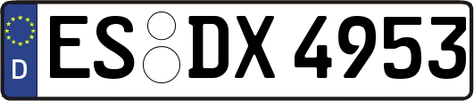 ES-DX4953